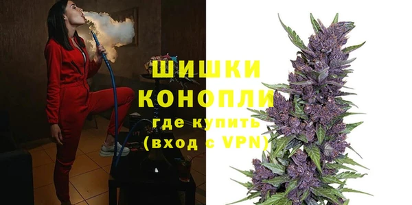 молекула духа Переславль-Залесский