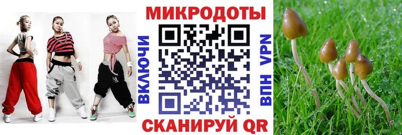 mega как войти  Мосальск  Псилоцибиновые грибы Cubensis 